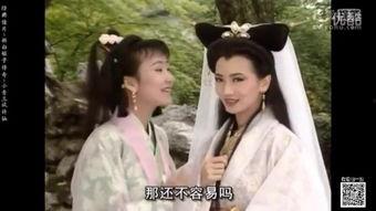 荷花三娘子在线观看,穿越时空的奇幻爱情之旅  第1张 荷花三娘子在线观看,穿越时空的奇幻爱情之旅  第1张